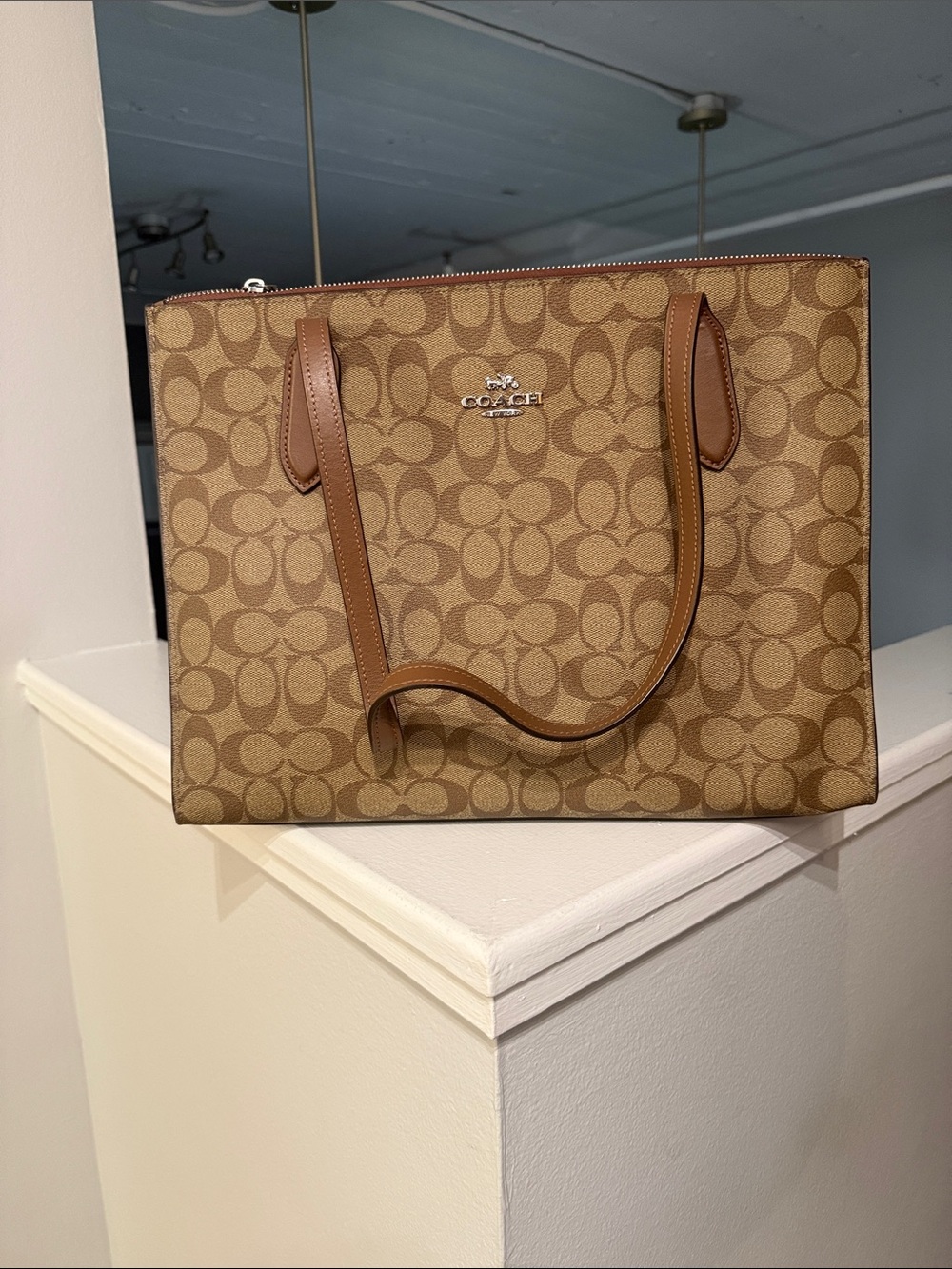 Coach Signature Canvas Tote in Tan/Brown